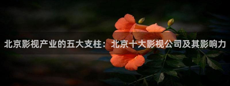 奇怪的美发沙龙奇优影院