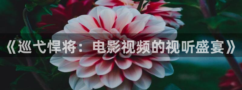 奇优影院2026