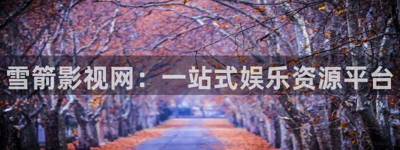 奇优影院理论片第一页