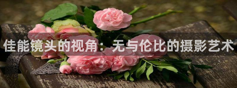 奇优影视在线观看电视剧免费高清