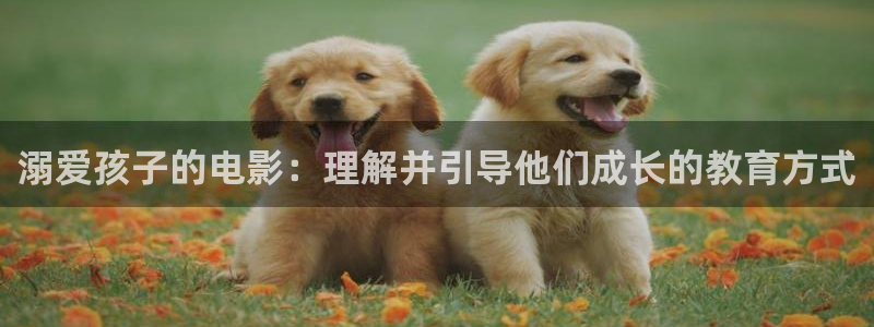 善良妈妈的朋友奇优影院