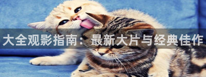 奇优影院手机版高清电视免费看