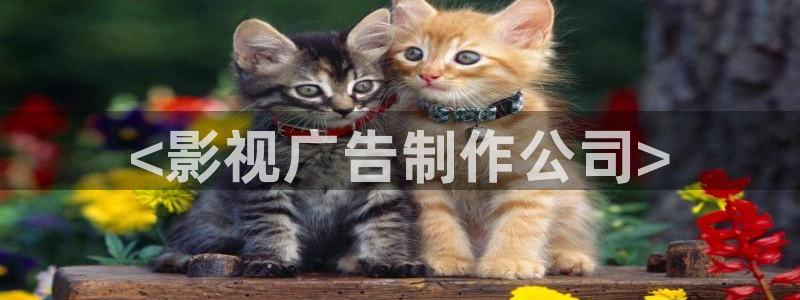 奇优影院1e6e