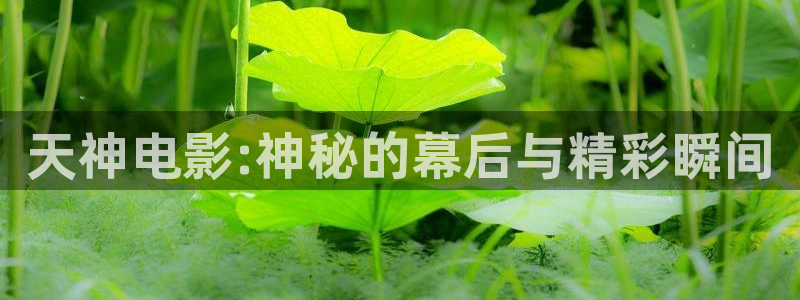 新闻图片