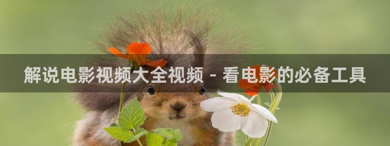 奇优影院电视剧手机版免费首页
