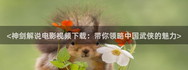 奇优影院手机版在线观看电影