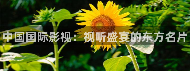 奇优影院免费高清电视剧在线观看